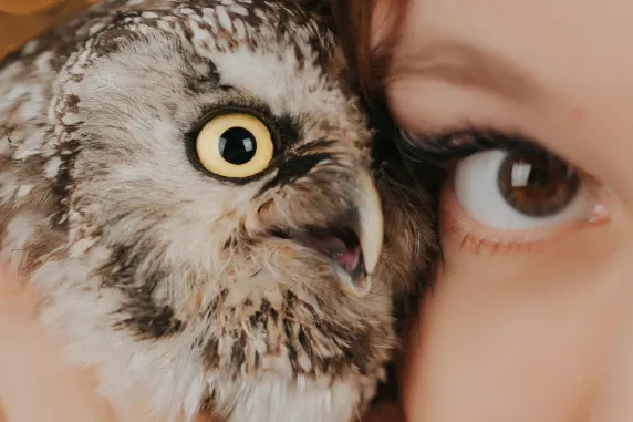 Casino AllStar Slots Ondersteuning